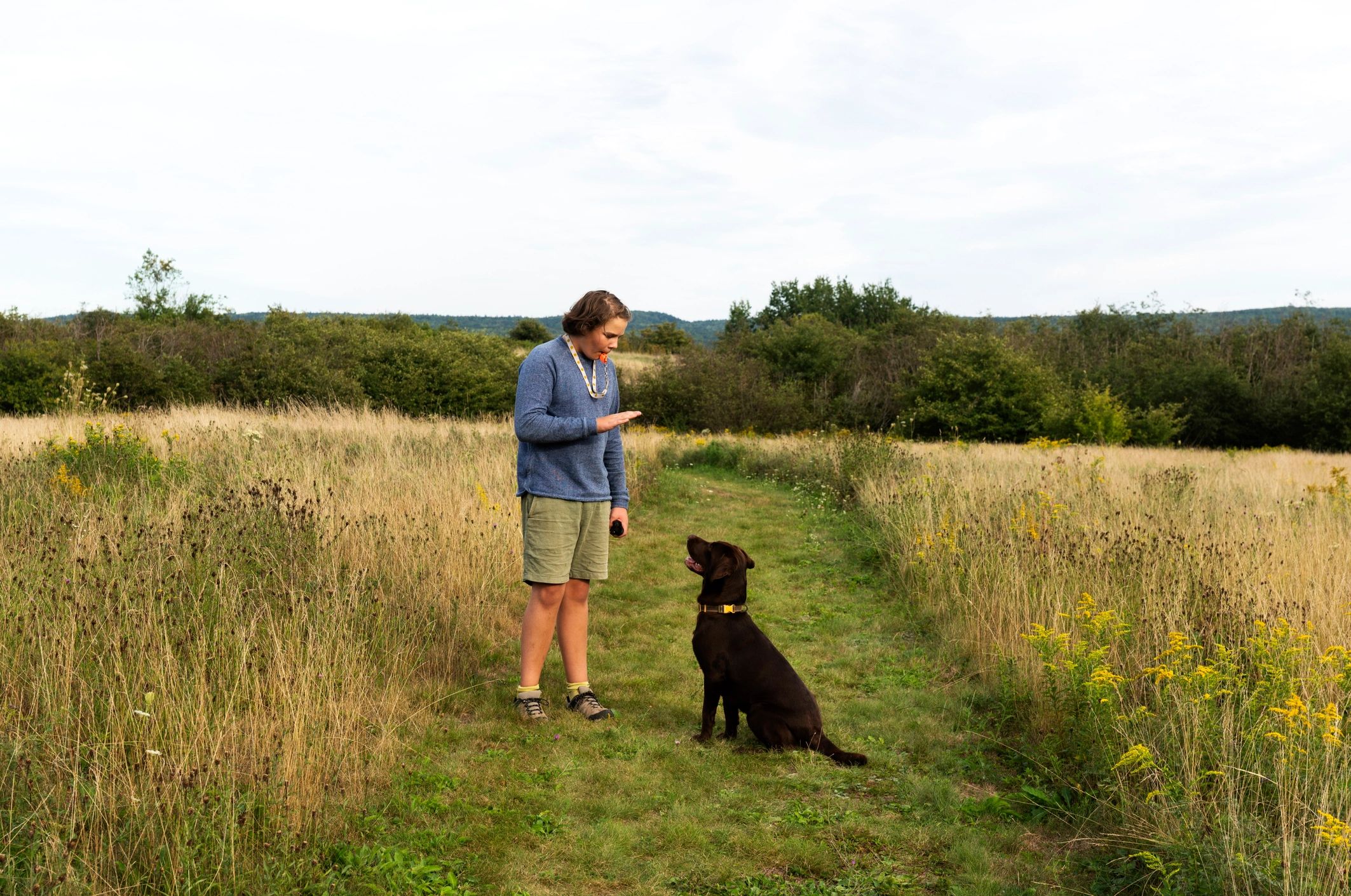 Wade Cashion training a black Labrador in a field